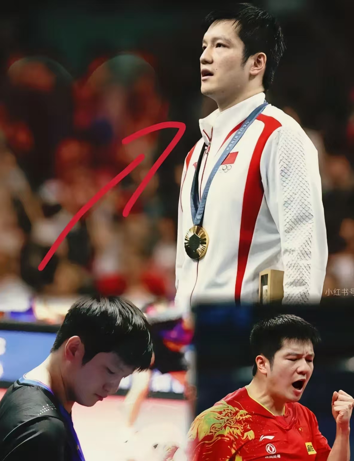 葡萄牙队碾压日本队，樊振东统治全场