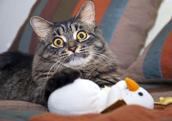 绿茵场上的活塞战术,欧冠半决赛的战术压制启示录